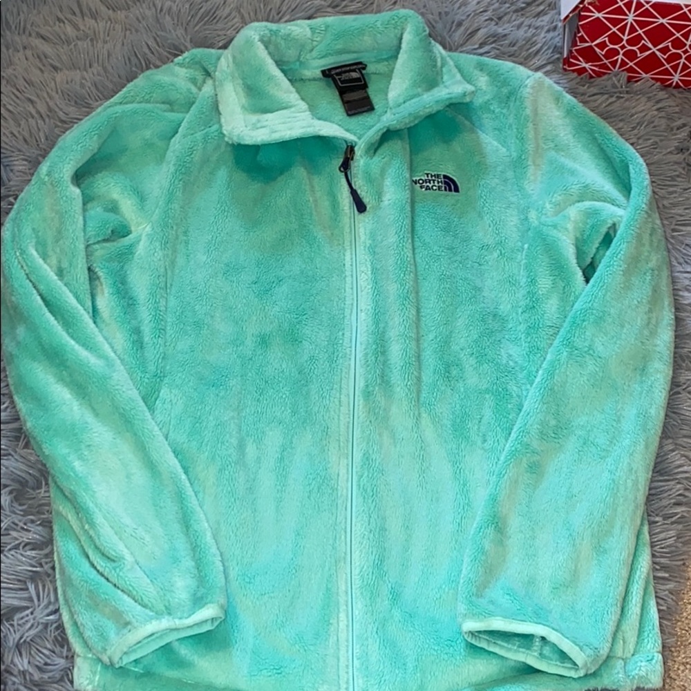 North Face Mint Green Fuzzy Jacket